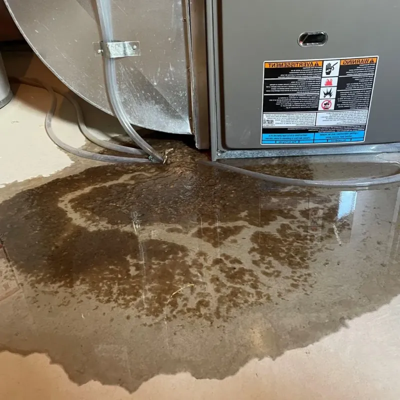 Pipe Burst and Leak Restoration in San Juan County, CO